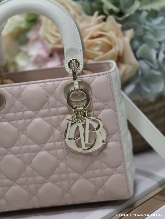 Tony Luxuries LADY DI0R-20CM 0717